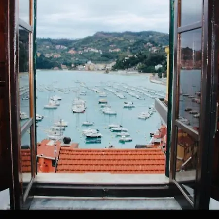 Dream View
